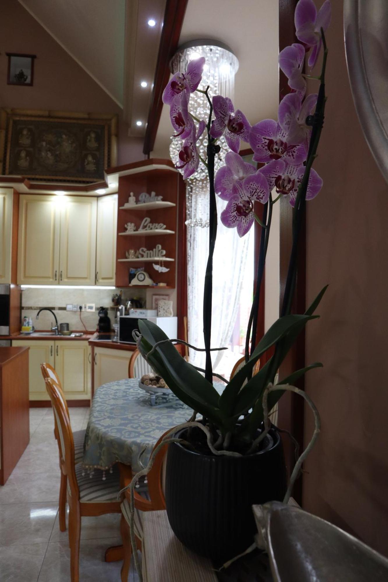 Barackos Wellness Villa Fot المظهر الخارجي الصورة
